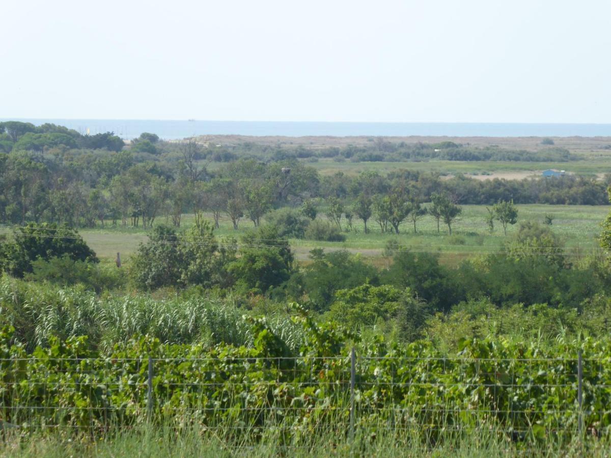 Gite Des Jonquies, Au Calme Vue Sur Le Canal Du Midi Et La Mer Portiragnes Bagian luar foto
